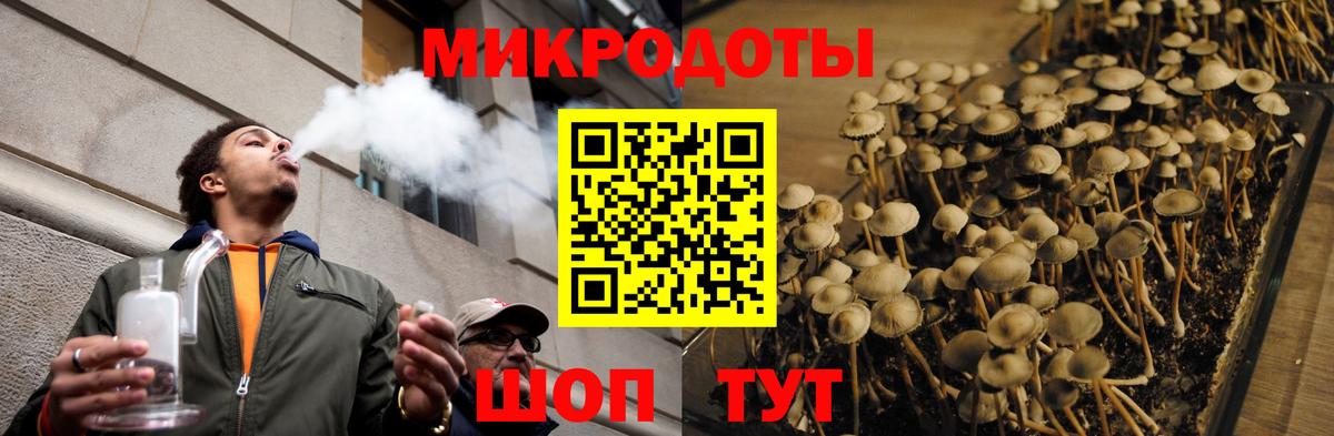 Псилоцибиновые грибы GOLDEN TEACHER Комсомольск-на-Амуре